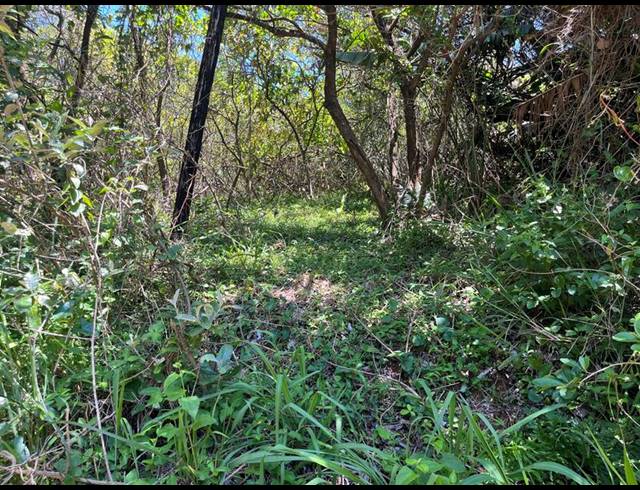 LAND FOR SALE IN PALM BEACH